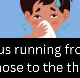  Mucus running from the nose to the throat