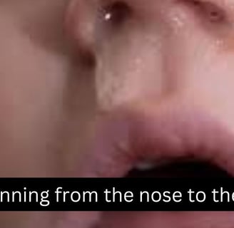 Mucus running from the nose to the throat 