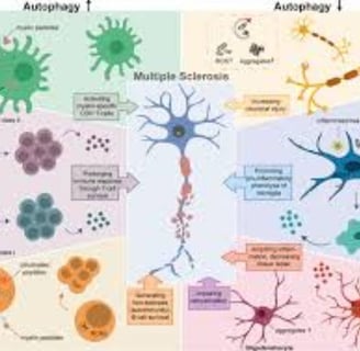 multiple sclerosis and fasting autophagy