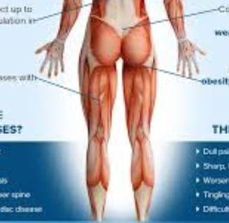 Disc Herniation & Bulging Relief