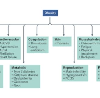 diseases and obesity