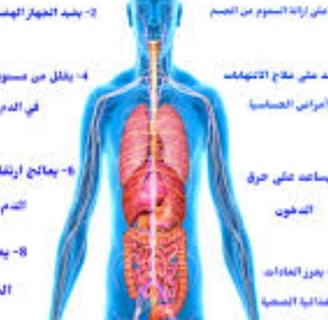 فوائد عديدة الصوم
