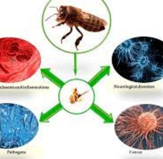 Bee Therapy : the Benefits and Uses of Bee Venom