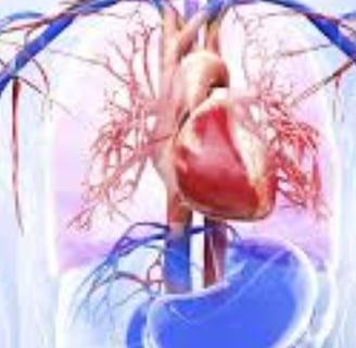 Voluntary Islamic Fasting for Arrhythmia