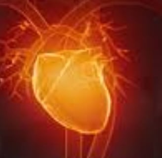 Voluntary Islamic Fasting for Arrhythmia