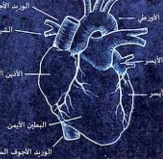 Voluntary Islamic Fasting for Arrhythmia