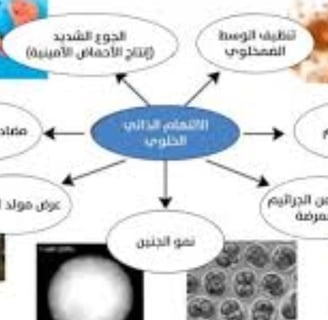الصيام والالتهام الذاتي