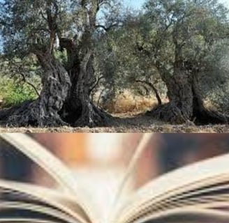 لصيام، والالتهام الذاتي، والخلايا الجذعية