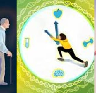 potential lifespan-extending effects of fasting