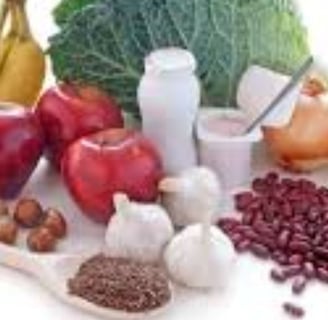 prebiotic
