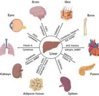 retinitis pigmentosa fasting