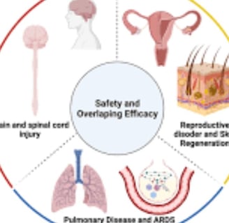 stem cell therapyy
