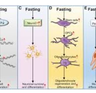 fasting