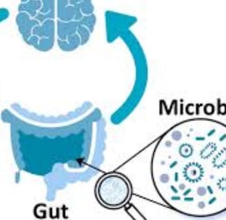 The Impact of Microbiome, Fasting, and Probiotics on Cancer (4)