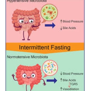 The Impact of Microbiome, Fasting, and Probiotics on Cancer (4)