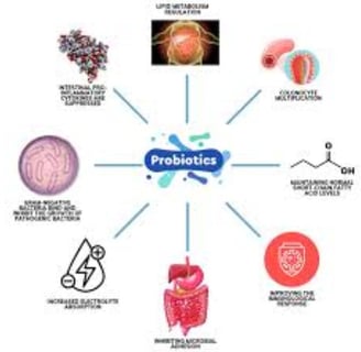 The Impact of Microbiome, Fasting, and Probiotics on Cancer (4)