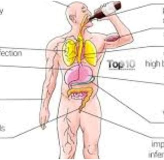 Alcohol in reality and in Islam