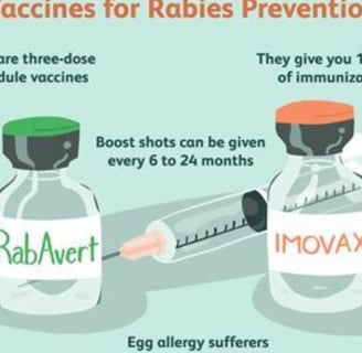 vaccination's