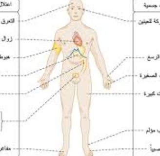 تناول الميتفورمين أثناء الصيام