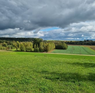 Žaliojo slėnio ūkis