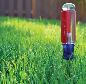 s Your Lawn Thirsty? Summer Watering Tips From The Experts. Credit: pristinephc