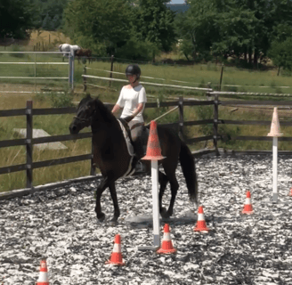 a person riding a horse in a fenced in area