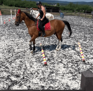 a woman riding a horse in a field