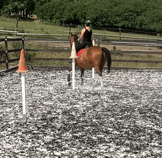 a woman riding a horse in a fenced in area
