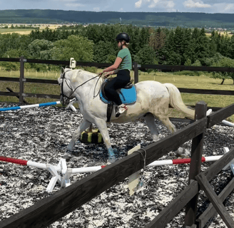 a woman riding a horse in a fenced in area