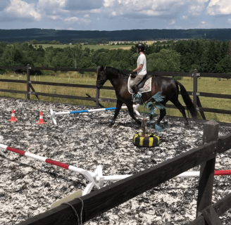 a person riding a horse in a fenced in area