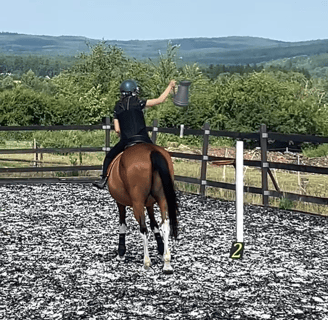 a person riding a horse in a field