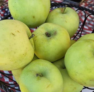 transparent apples