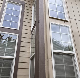 Siding Painting & windows