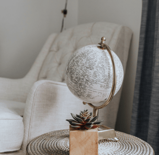 a globe globe with a plant in a living room