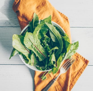What are Prebiotics and do I need to take them