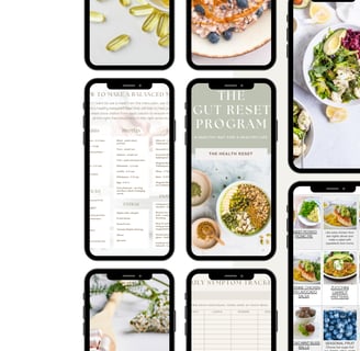 the gut reset program