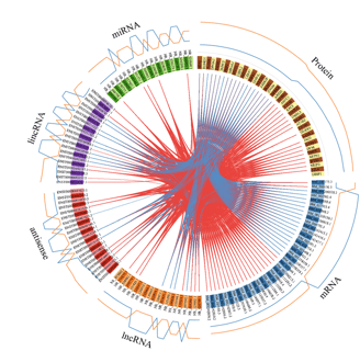 Genomic data analysis. circos plot. Bioinformatics service. Genomics. multi-omics. DNA RNA 