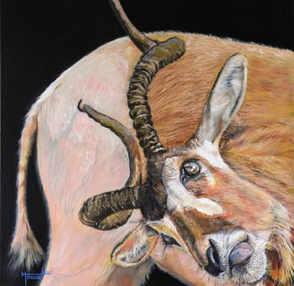 Endangered Species Addax Oil Painting