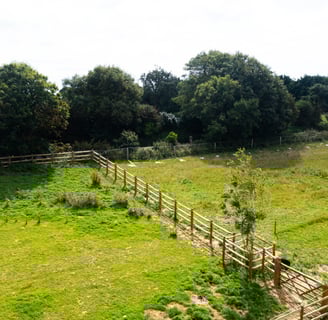 Paddock Fencing _ Land Culture