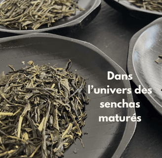 Feuilles de sencha maturées