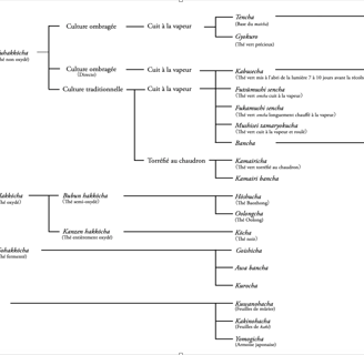 Classification du thé