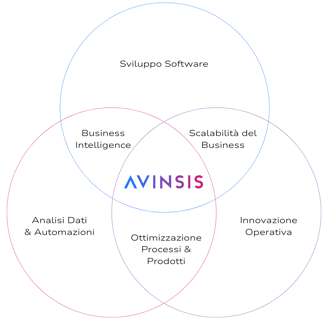 rosa delle skills: sviluppo software, analisi dati e automazioni, innovazione operativa