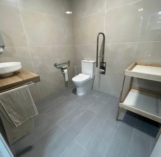 baño minusválidos