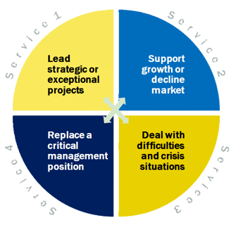 Lead strategic project - Support growth decline market replace management position crisis situation