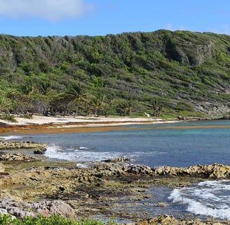 Voyage France Guadeloupe Anse Marguerite