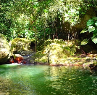 Voyage France Guadeloupe Canyoning