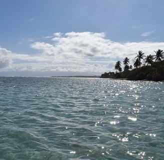 Voyage France Guadeloupe Bois Jolan