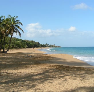 Voyage France Guadeloupe La Perle