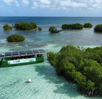 excursion voyage France Guadeloupe