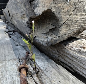 Why Reclaimed Wood Is the Future of Sustainable Architecture in Bali
